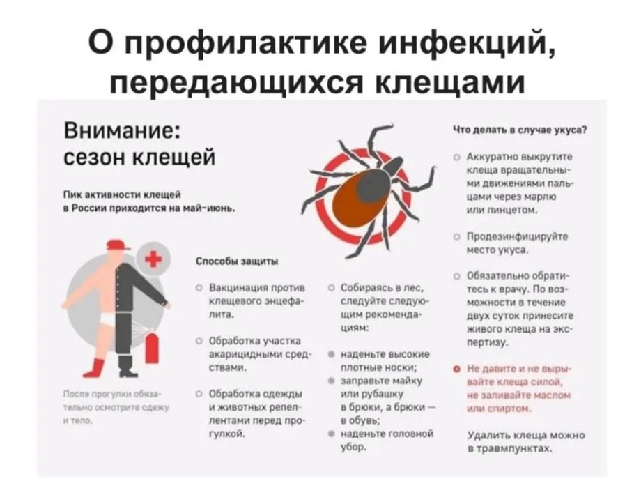 Осторожно! Клещи!.